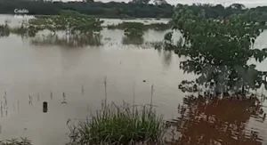 Cheia do Rio Dourados. (Reprodução)