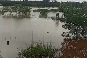 Cheia do Rio Dourados. (Reprodução)